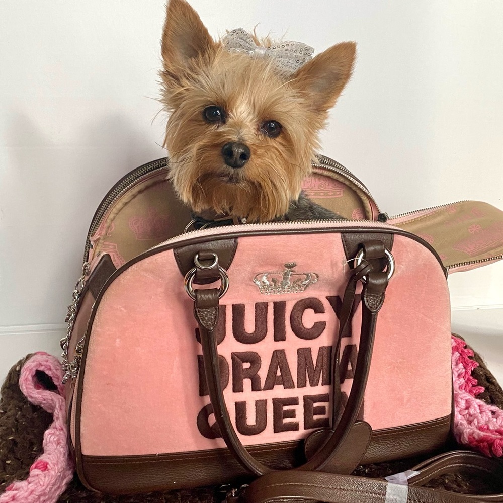 “Juicy Drama Queen” pet carrier.